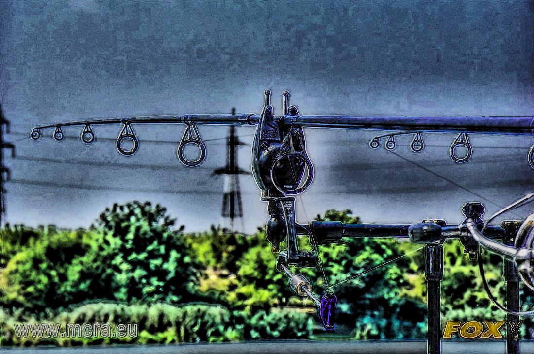 MeetCarp Romanian Awards 2013 (3) - 1017439hdrmode2-2.jpg